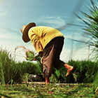 Farming Support
